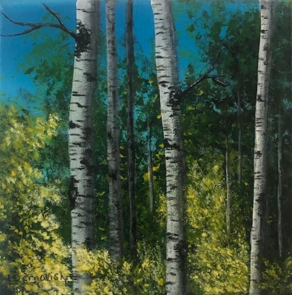 Birch Tree